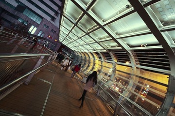 IMG_8081.jpg