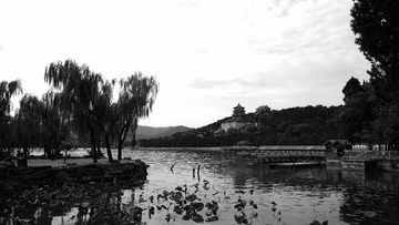 A67AEFD8-8090-48B9-8E6D-85FB932123F1/L0/001