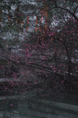 FAE82AA0-099C-41C1-B6E8-496EBD0DEA51/L0/001