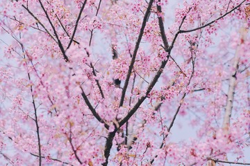 C85B72C0-DD13-4932-B917-7E41E06B3560/L0/001