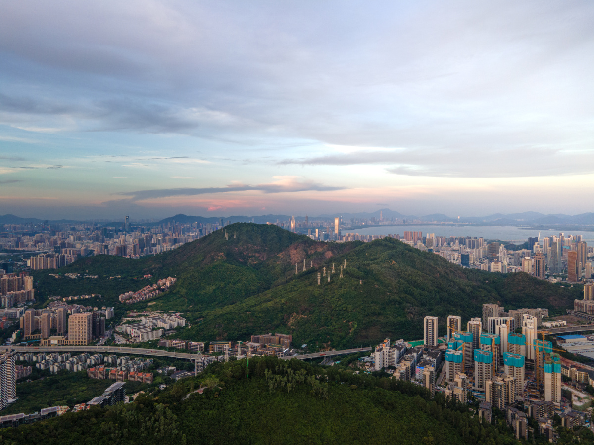 南山公园深圳南山湾畔森林与城野