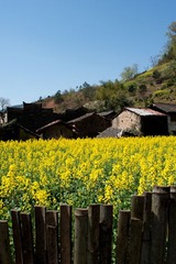 DSC00775.jpg