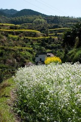 DSC00849.jpg