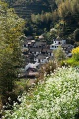 DSC00874.jpg