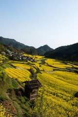 DSC00915.jpg