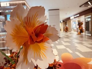 83D9987D-CF78-4505-8539-40C172667B58/L0/001