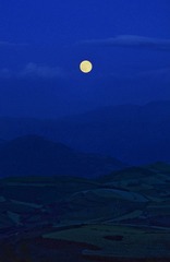 静月