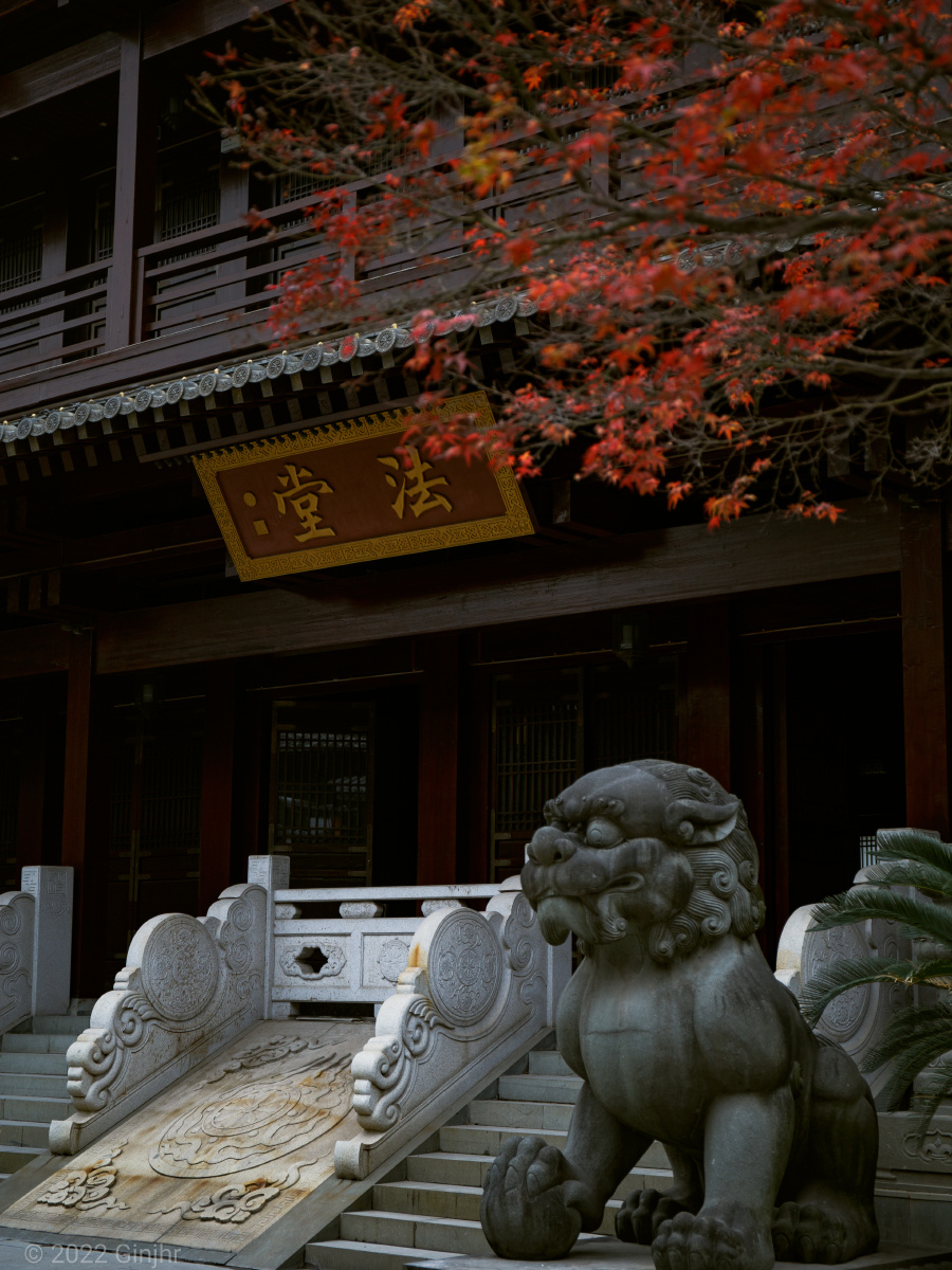 杭城古刹之香积寺藏在城市中的古风寺庙庭院图二历史与现代的交融图三