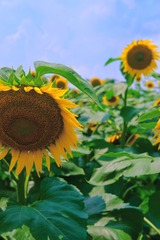 2BE4568C-7629-400F-8F7B-01B252840B33/L0/001