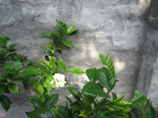 4DB67A55-94A9-4BA1-AC21-A4E65F159A81/L0/001