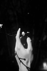 A0FFF464-5B12-4122-8F89-F338EC9893C4/L0/001