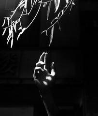 0A0011DD-EC14-4343-8F94-652682D5F313/L0/001
