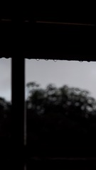 04948B2F-AC2B-4800-8C08-D484CA9FF2D6/L0/001