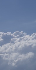 C95629F5-2614-4BAC-A3F8-7D5C48BB308F/L0/001