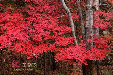 _DSC7807