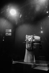 _DSC8160