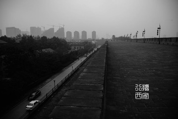 _DSC8229