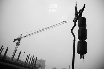 _DSC8240