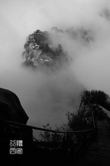_DSC8281