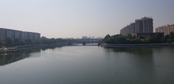 201239