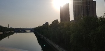 201246