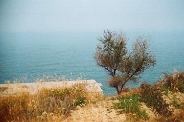 C5ABBBBB-2EE5-402C-A0A8-D3073EDAAFC4/L0/001
