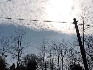 1597646
