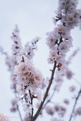 F7F85A60-34E5-4C64-B19C-BF9771C7AC26/L0/001