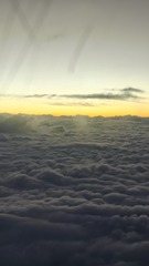 1000021703