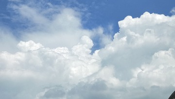 4439427