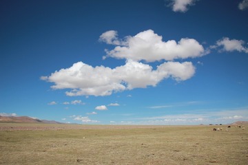 A1B71B69-C206-4C02-AF55-038B2ACD739E/L0/001