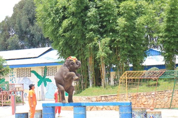 5D36380C-9DDC-4A00-B36A-D2223058581C/L0/001