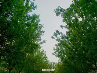 201205132076_副本.jpg