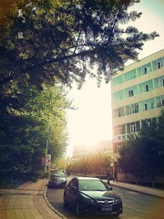201205152089_副本.jpg