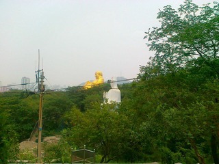 20110712561.jpg
