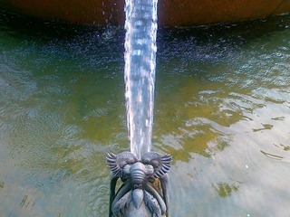 20110711421.jpg