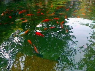 20110711463.jpg
