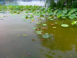 20110711500.jpg