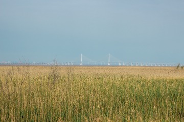 1000076122