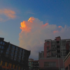 8B3C8545-919F-41DD-9877-12BB69C3A551/L0/001