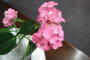 DSCF2471.jpg