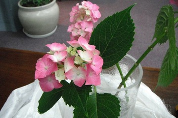 DSCF2472.jpg