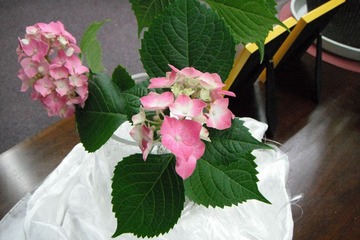 DSCF2476`.jpg