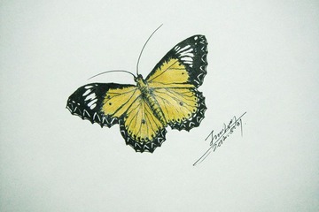 DSCF2517.jpg