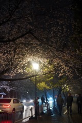 B3BF779D-CCEE-431F-BBD9-14A26CD6A444/L0/001