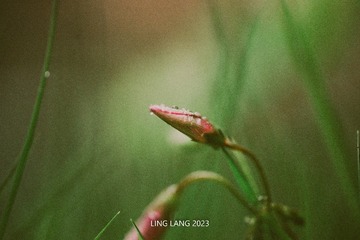 13841