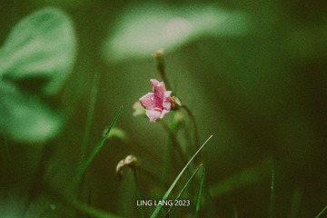 13842