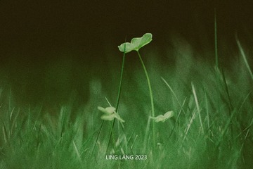 13834