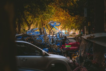 44602