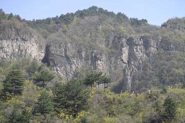 _DSC0264.JPG
